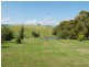 1105 Jacksons Track, Jindivick VIC 3818