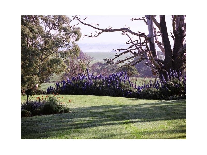 1105 Jacksons Track, Jindivick VIC 3818