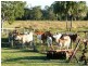 243 Mt Rae Road, Yeppoon QLD 4703