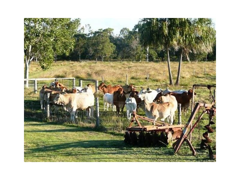 243 Mt Rae Road, Yeppoon QLD 4703