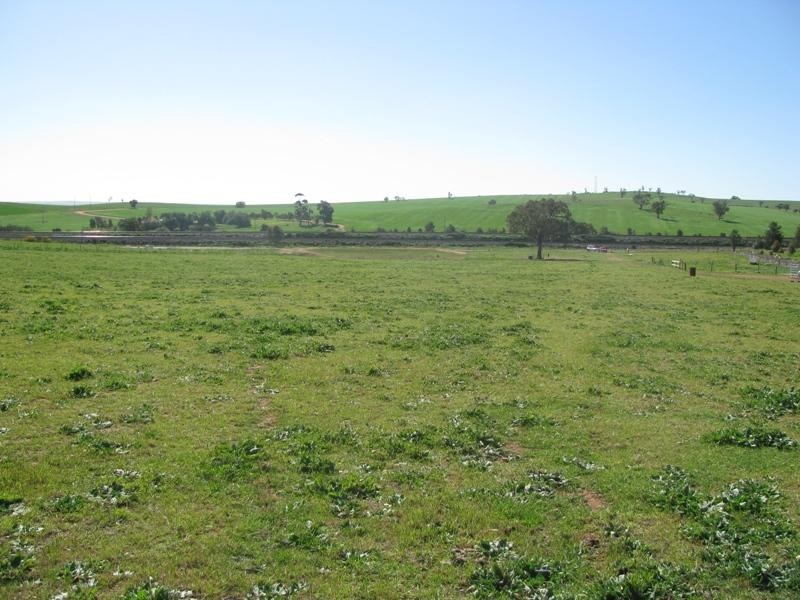 100 Waterworks Road, Junee NSW 2663