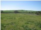 100 Waterworks Road, Junee NSW 2663