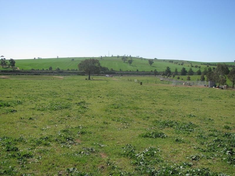 100 Waterworks Road, Junee NSW 2663