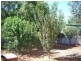 61 Donaldson Street, Curlewis NSW 2381