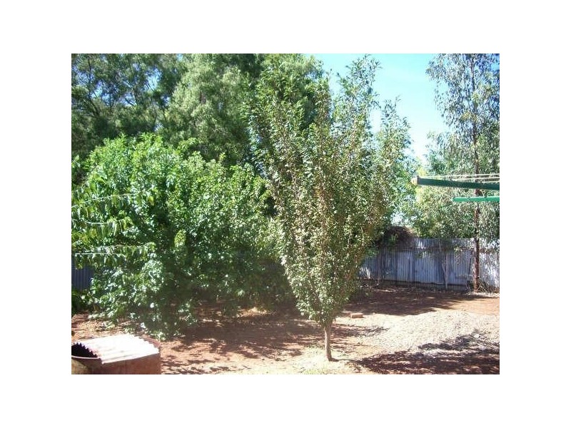 61 Donaldson Street, Curlewis NSW 2381