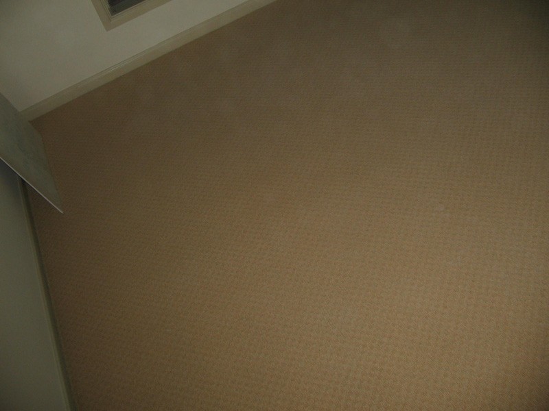 50 Whitburn Street, Greta NSW 2334