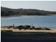 128 Malibu Drive, Bawley Point NSW 2539