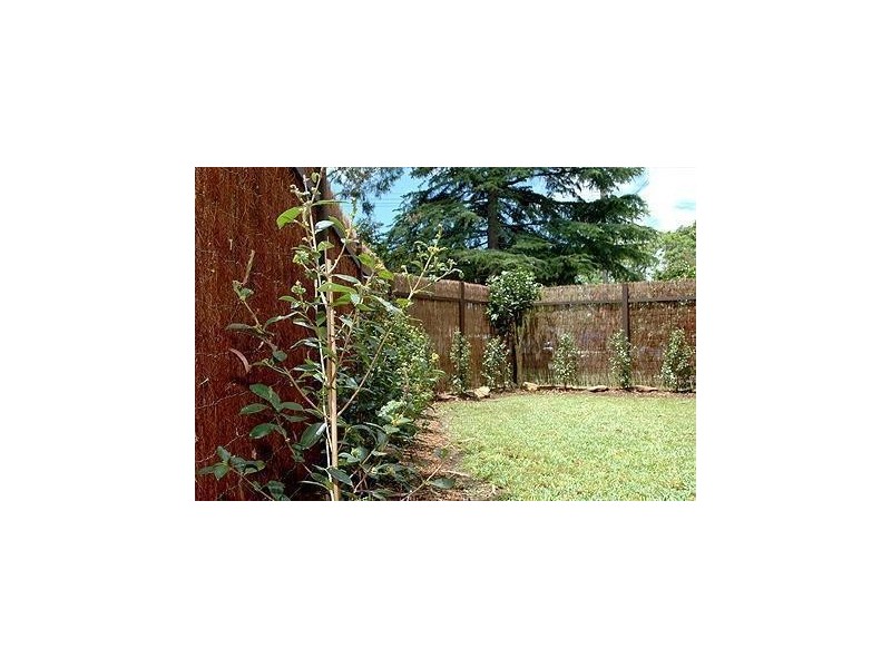 3/8 Flavelle Street, Concord NSW 2137