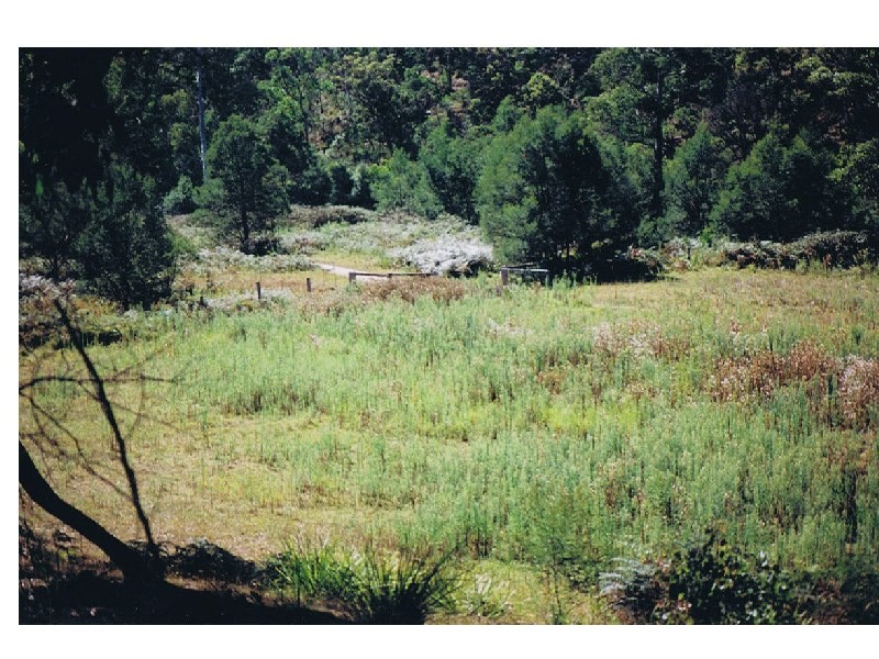 Lot 687 Goughs Road, Yowrie NSW 2550