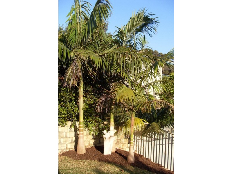 14 Fernleigh Avenue, Coffs Harbour NSW 2450