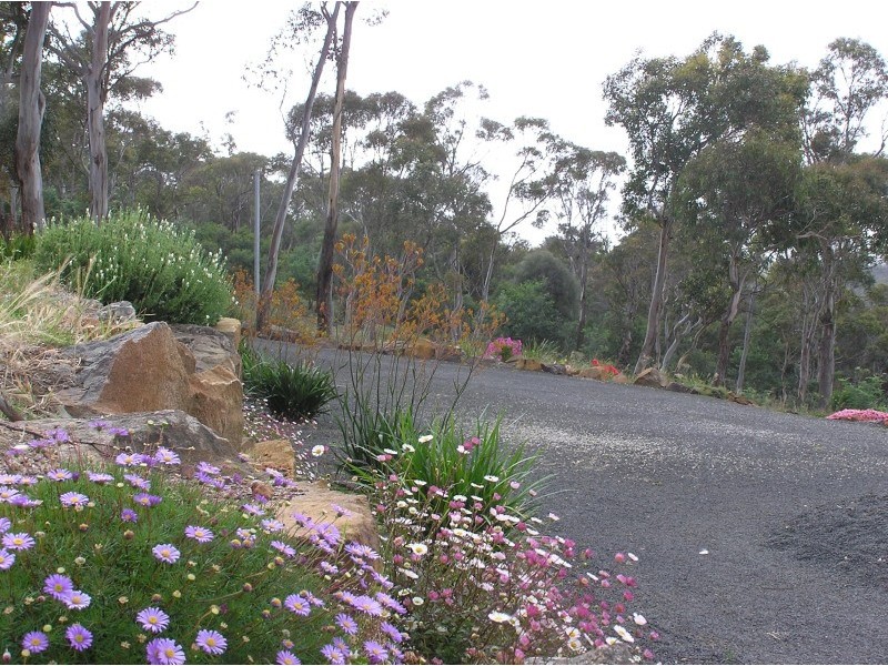 10 Heald Road, Travellers Rest TAS 7250
