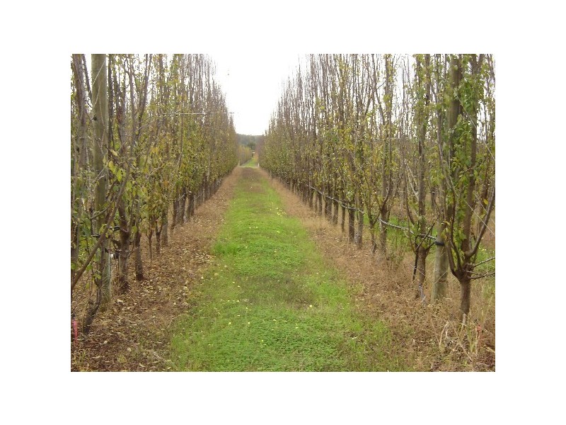 24 River Road, Donnybrook WA 6239