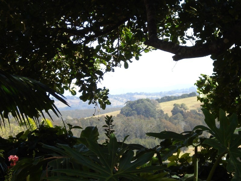 25 Ibis Place, Lennox Head NSW 2478