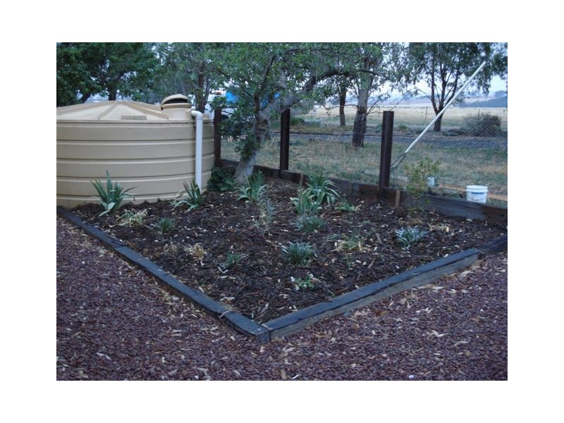 55 Cunningdrew, Ladysmith NSW 2652