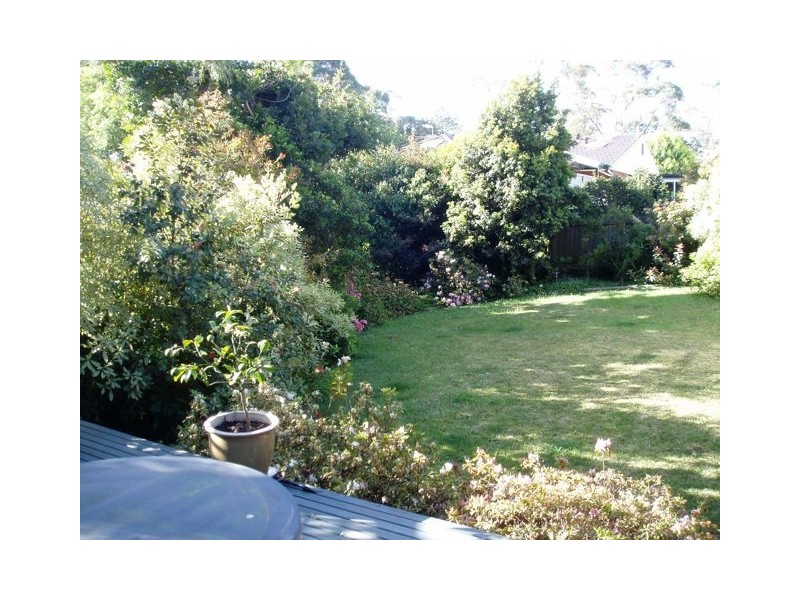 5 Angel Place, Forestville NSW 2087