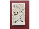 36 Armidale St, Stuart Park NT 0820