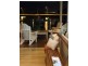19 The Cove, Magnetic Island QLD 4819