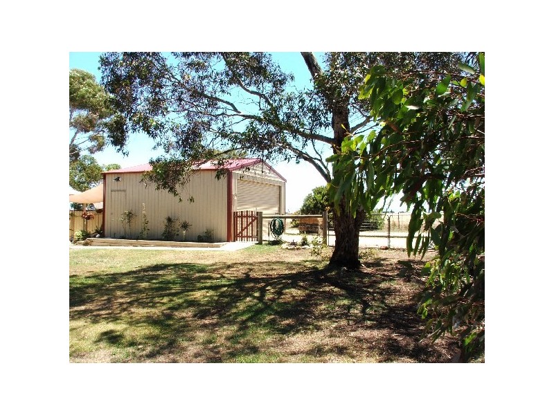 11 Finniss Street, Clayton SA 5256