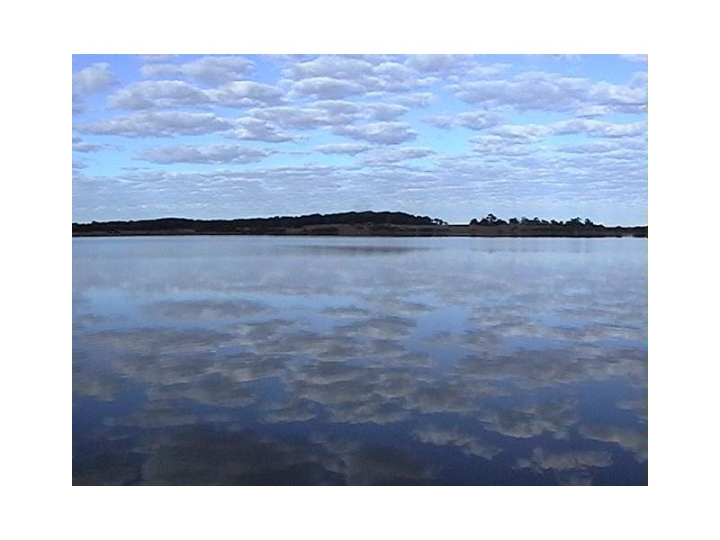 11 Finniss Street, Clayton SA 5256