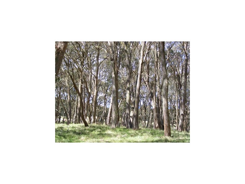 576 Shooters Hill Road, Oberon NSW 2787