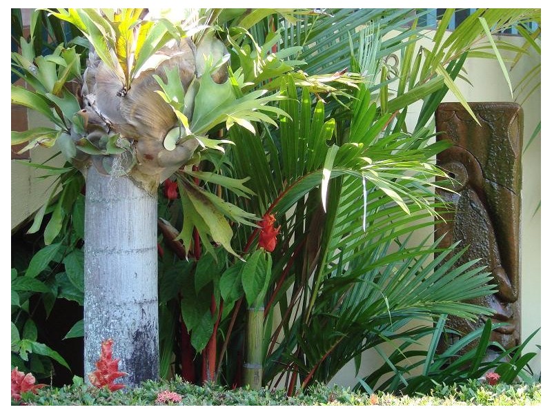 31 Moresby Street, Trinity Beach QLD 4879