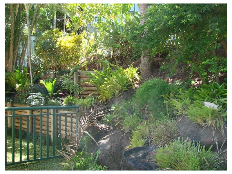 31 Moresby Street, Trinity Beach QLD 4879