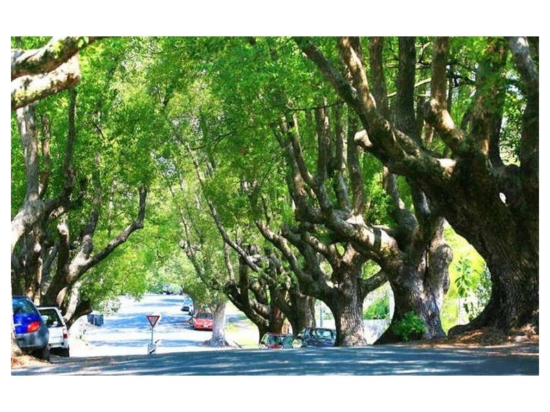 3/4 Abbott Street, New Farm QLD 4005