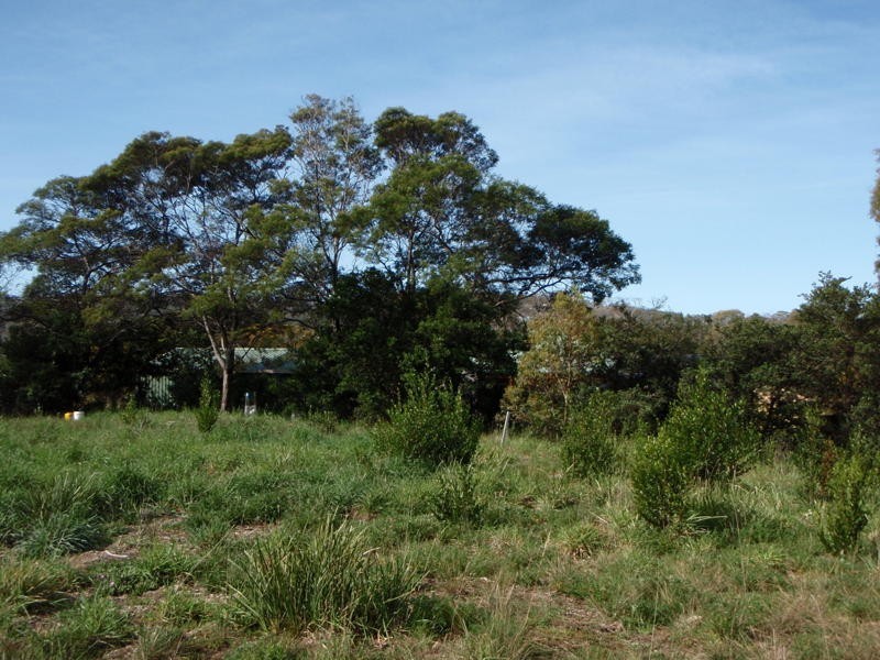 4 Cootamundra Court, Dodges Ferry TAS 7173
