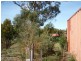 4 Cootamundra Court, Dodges Ferry TAS 7173