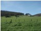 4 Cootamundra Court, Dodges Ferry TAS 7173