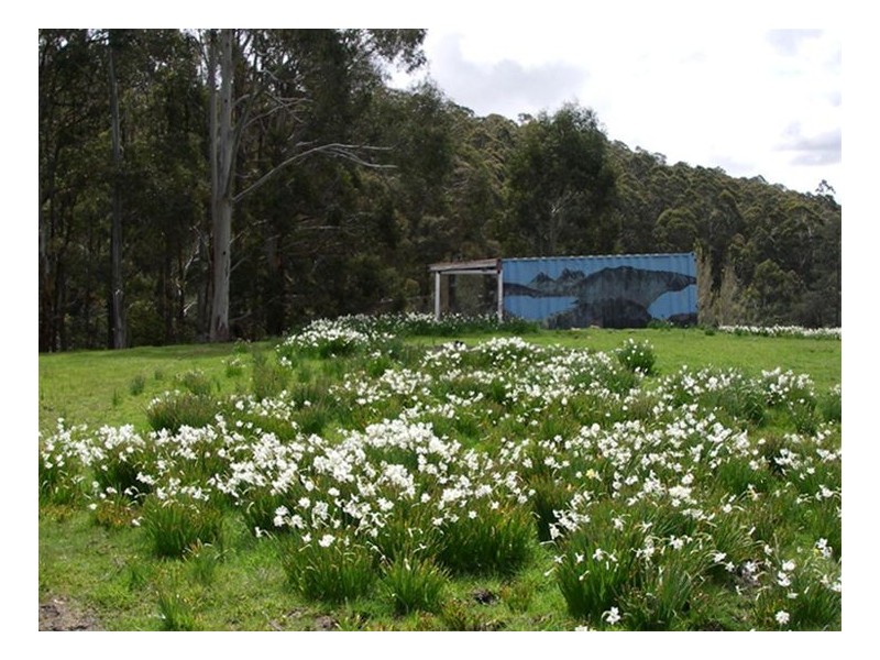 14 Sturmer Close, Allens Rivulet TAS 7150