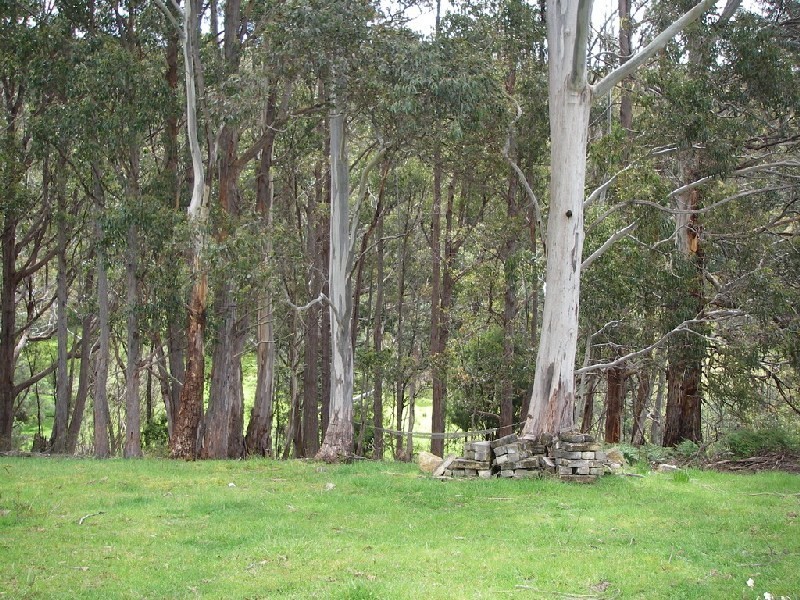 14 Sturmer Close, Allens Rivulet TAS 7150