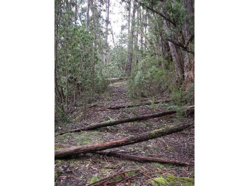 14 Sturmer Close, Allens Rivulet TAS 7150