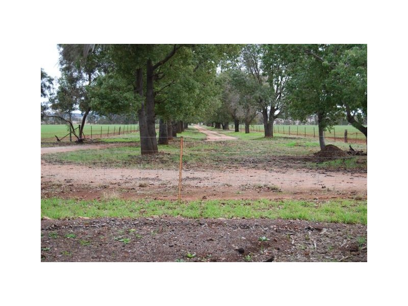 3740 Narrandera Road, Colinroobie NSW 2700