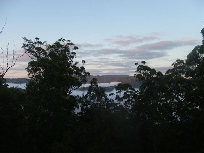 262 Black Mountain Road, Nymboida NSW 2460