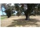 205 Rangeview Drive, Gingin WA 6503