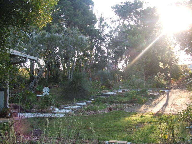 Bellingen NSW 2454