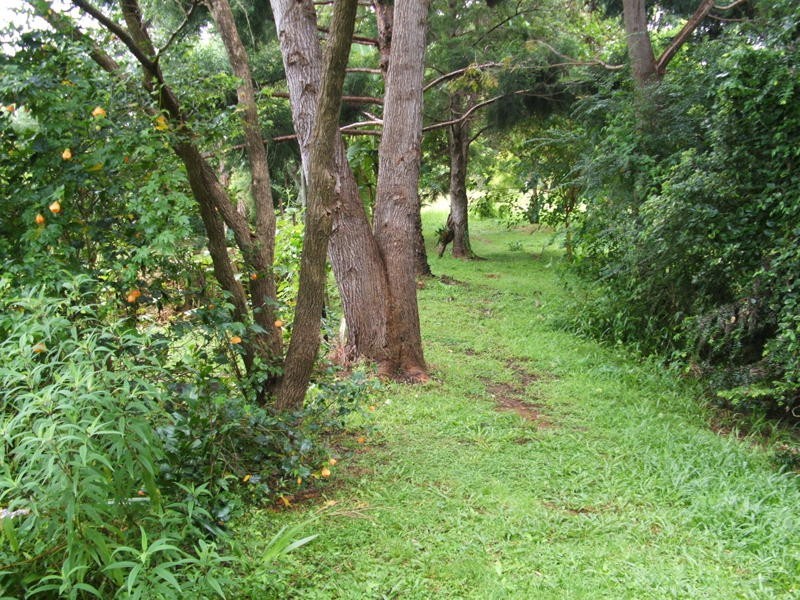Bellingen NSW 2454