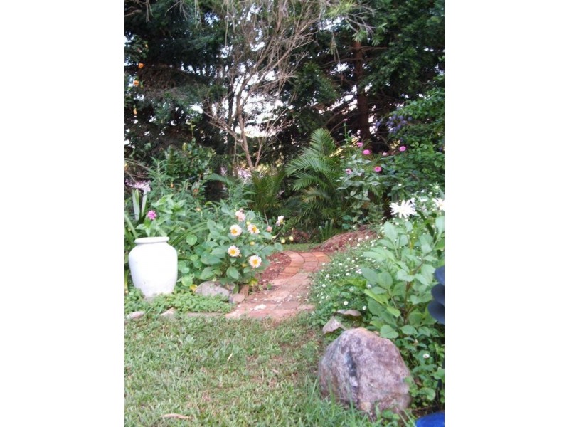 Bellingen NSW 2454