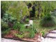 Bellingen NSW 2454
