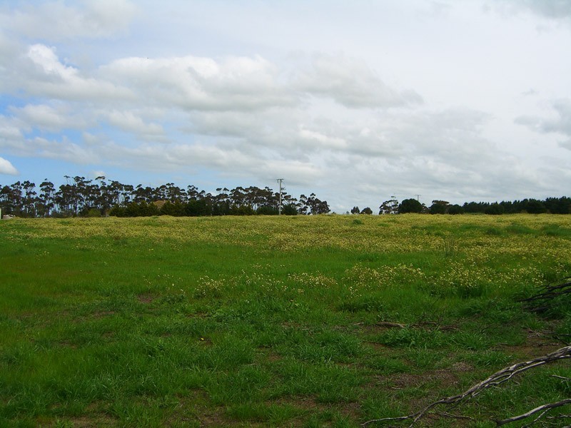 Lot 4 & 5 Ramon Close, Lismore VIC 3324