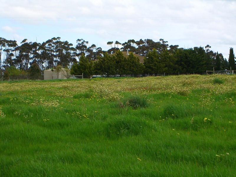 Lot 4 & 5 Ramon Close, Lismore VIC 3324