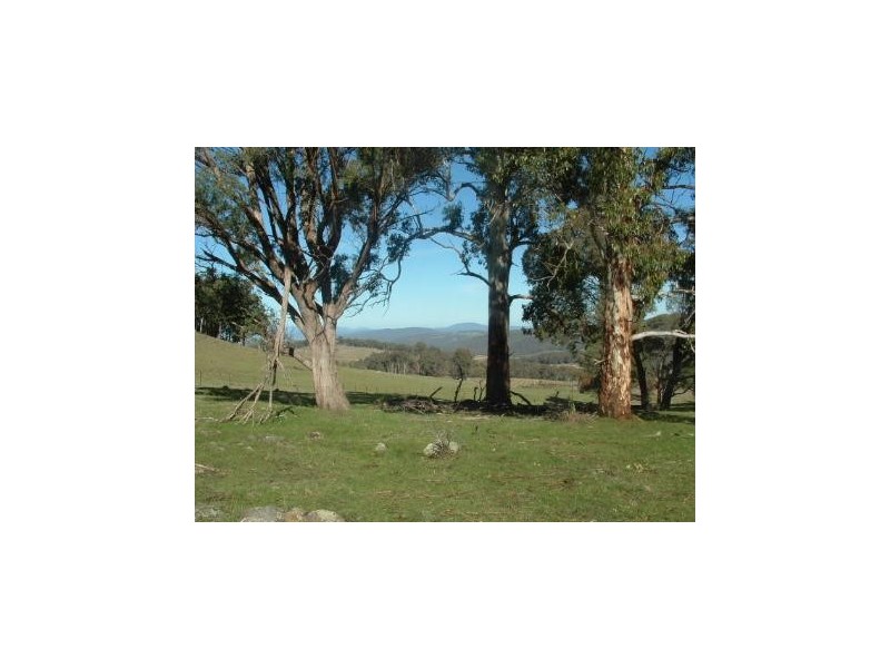 0 Moodys Road, Tumbarumba NSW 2653