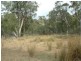 0 Moodys Road, Tumbarumba NSW 2653