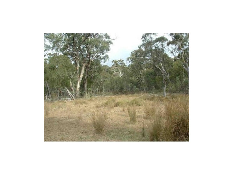 0 Moodys Road, Tumbarumba NSW 2653