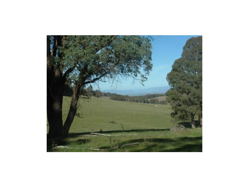 0 Moodys Road, Tumbarumba NSW 2653