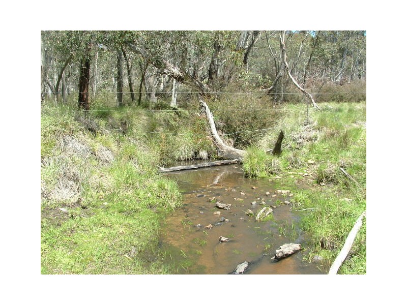 0 Moodys Road, Tumbarumba NSW 2653