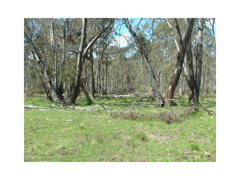 0 Moodys Road, Tumbarumba NSW 2653