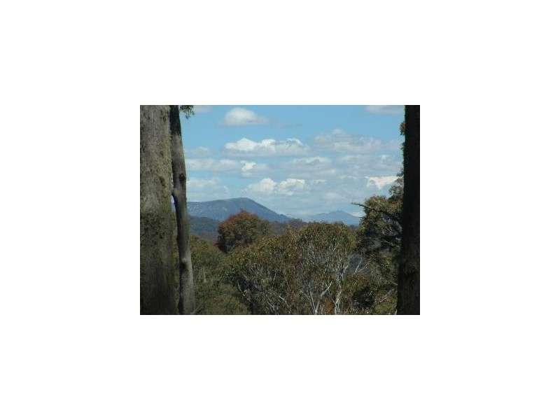 0 Moodys Road, Tumbarumba NSW 2653