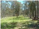 0 Moodys Road, Tumbarumba NSW 2653